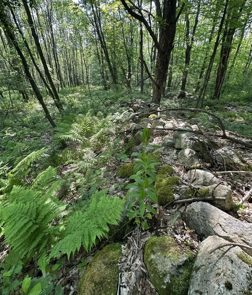 2500 Colvin Hill Road Danby VT 05739