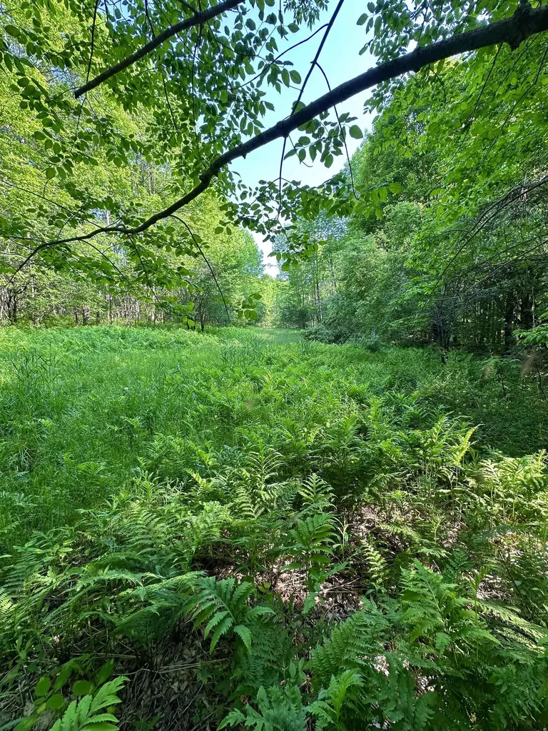 2500 Colvin Hill Road Danby VT 05739