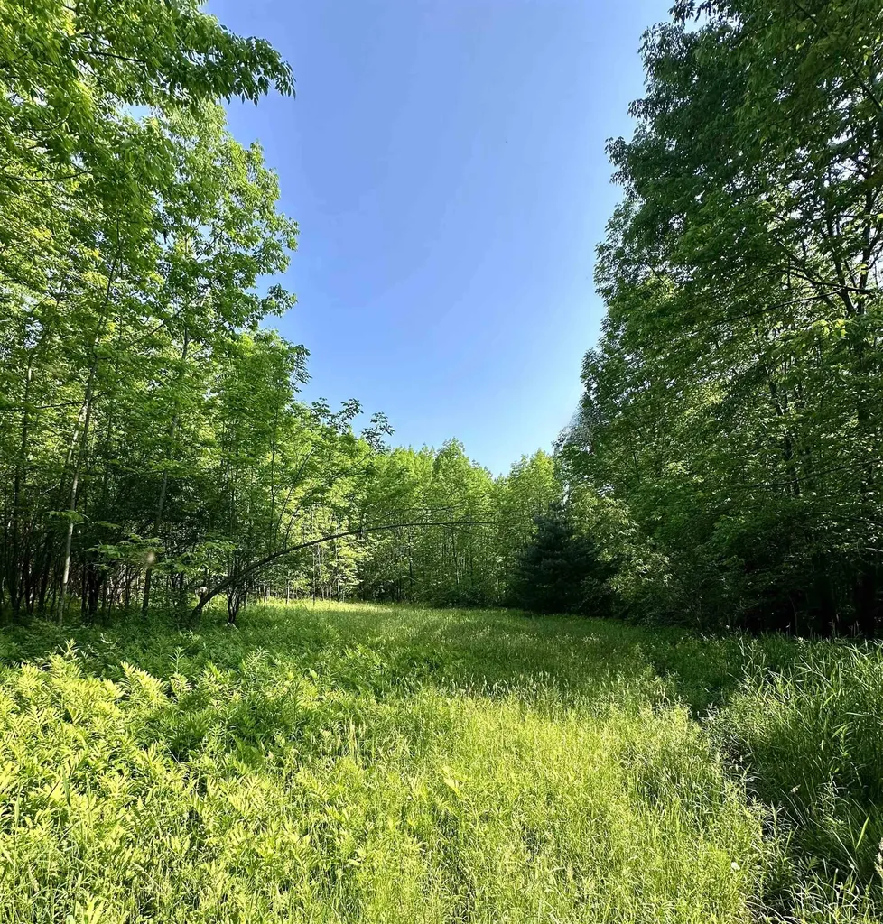 2500 Colvin Hill Road Danby VT 05739