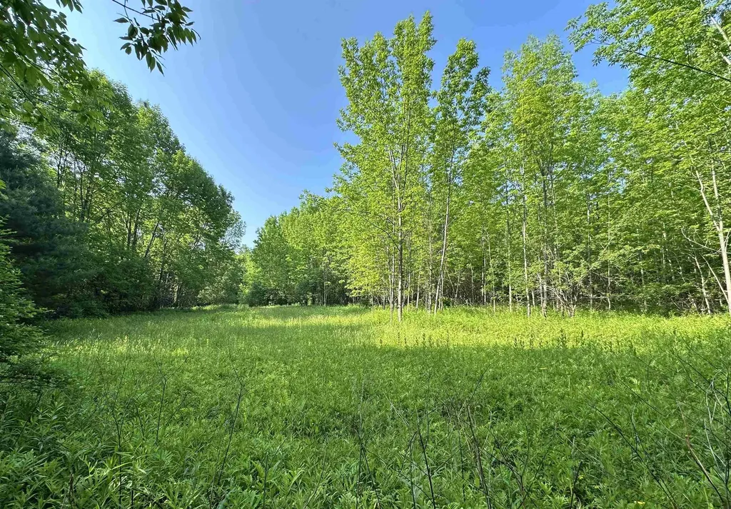 2500 Colvin Hill Road Danby VT 05739