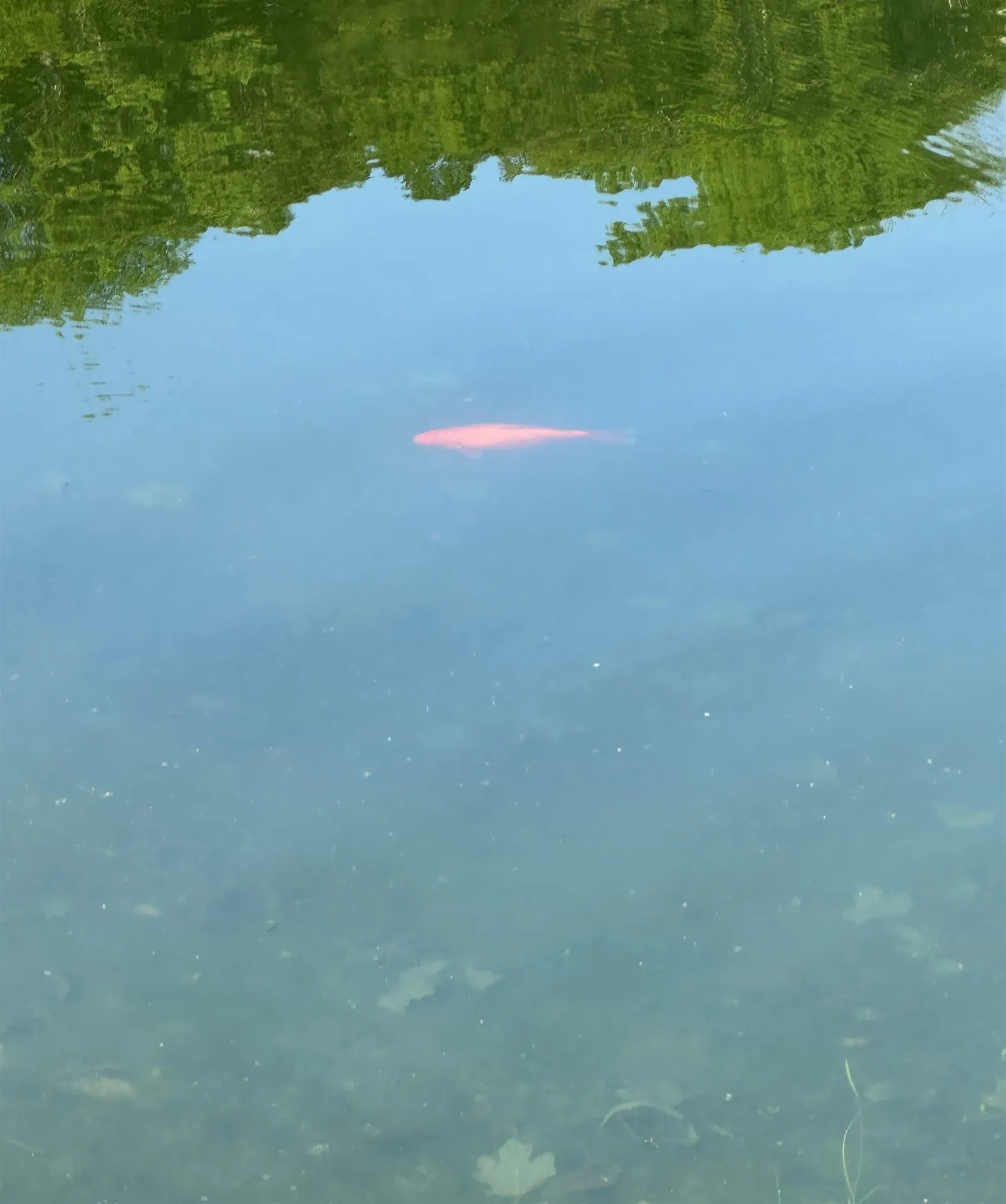 2500 Colvin Hill Road Danby VT 05739