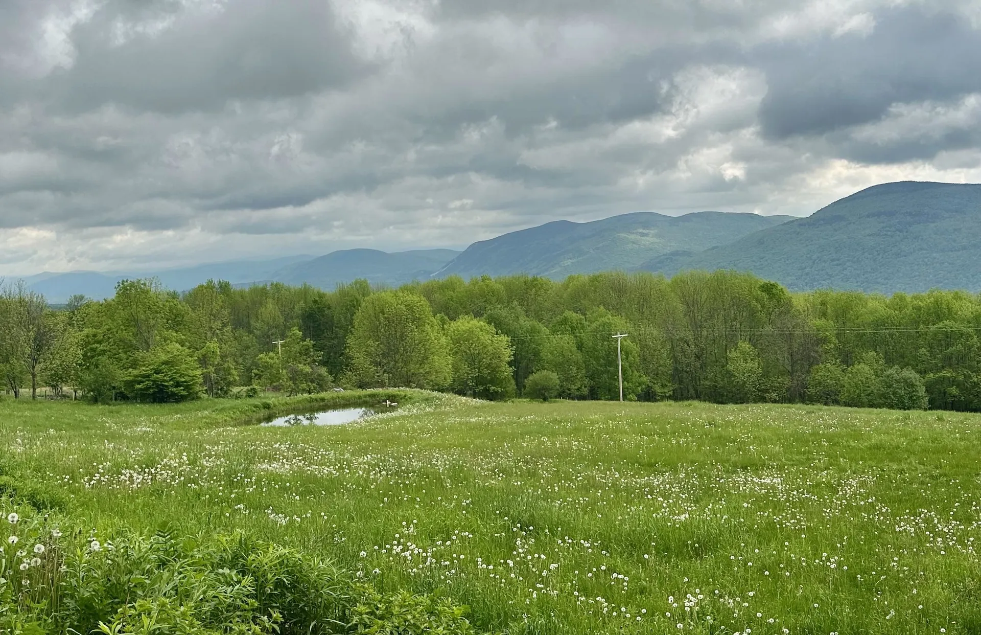 2500 Colvin Hill Road Danby VT 05739