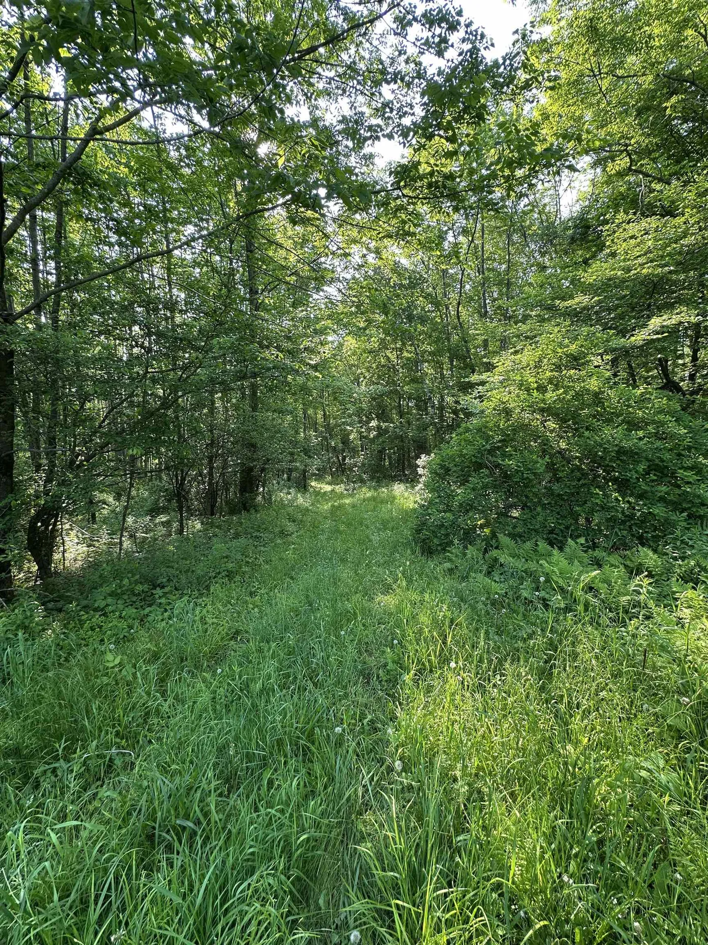 2500 Colvin Hill Road Danby VT 05739