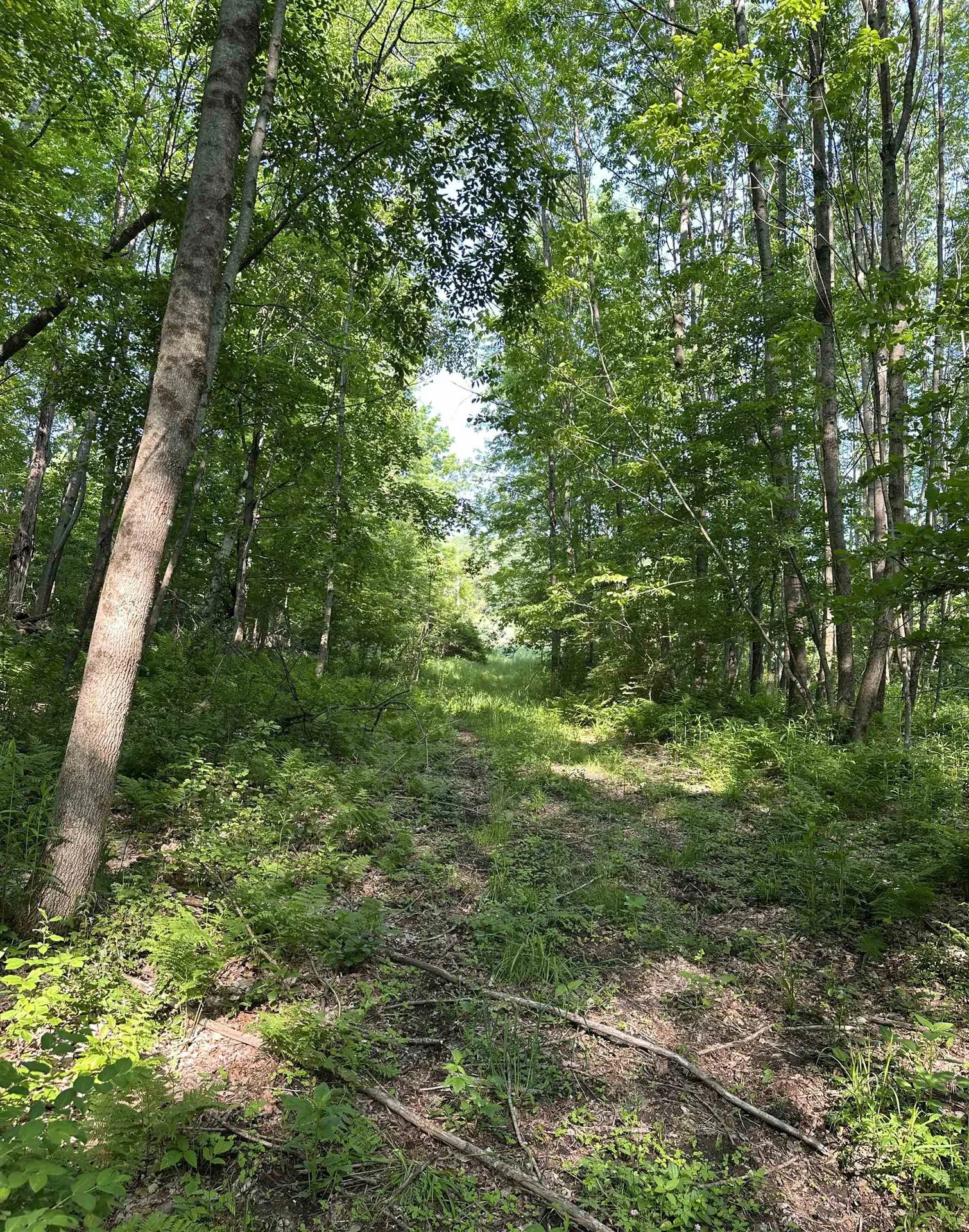 2500 Colvin Hill Road Danby VT 05739