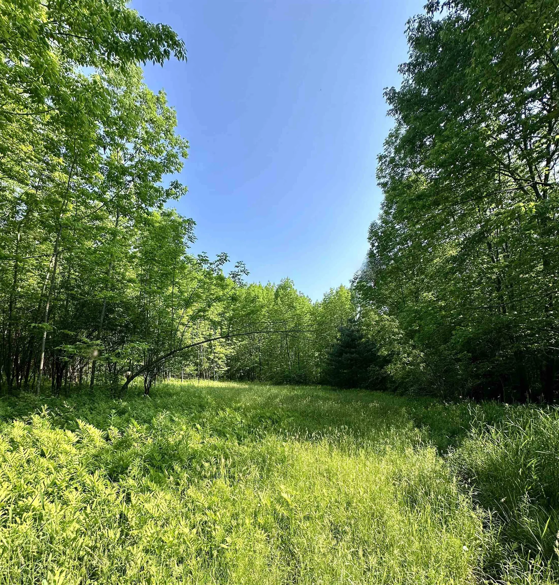 2500 Colvin Hill Road Danby VT 05739