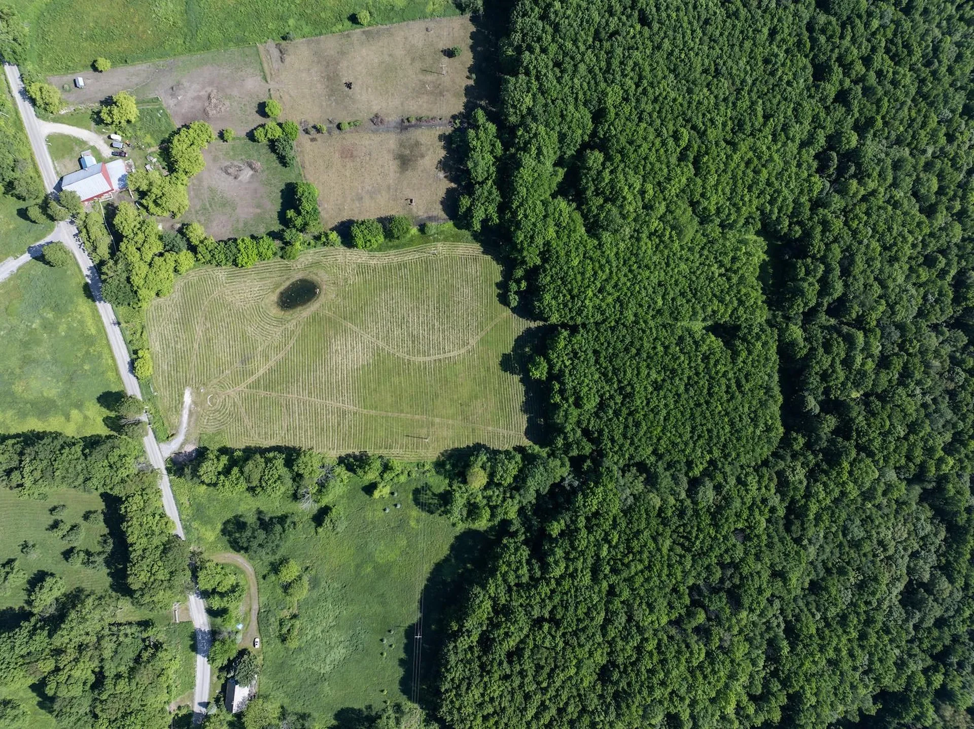 2500 Colvin Hill Road Danby VT 05739