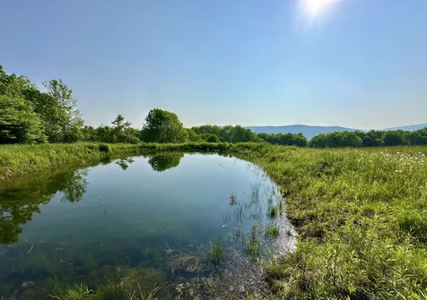 2500 Colvin Hill Road Danby VT 05739