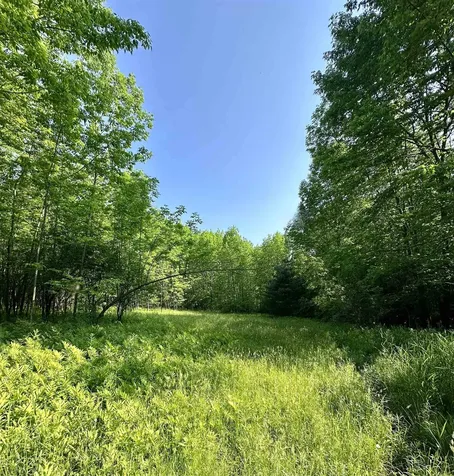 2500 Colvin Hill Road Danby VT 05739