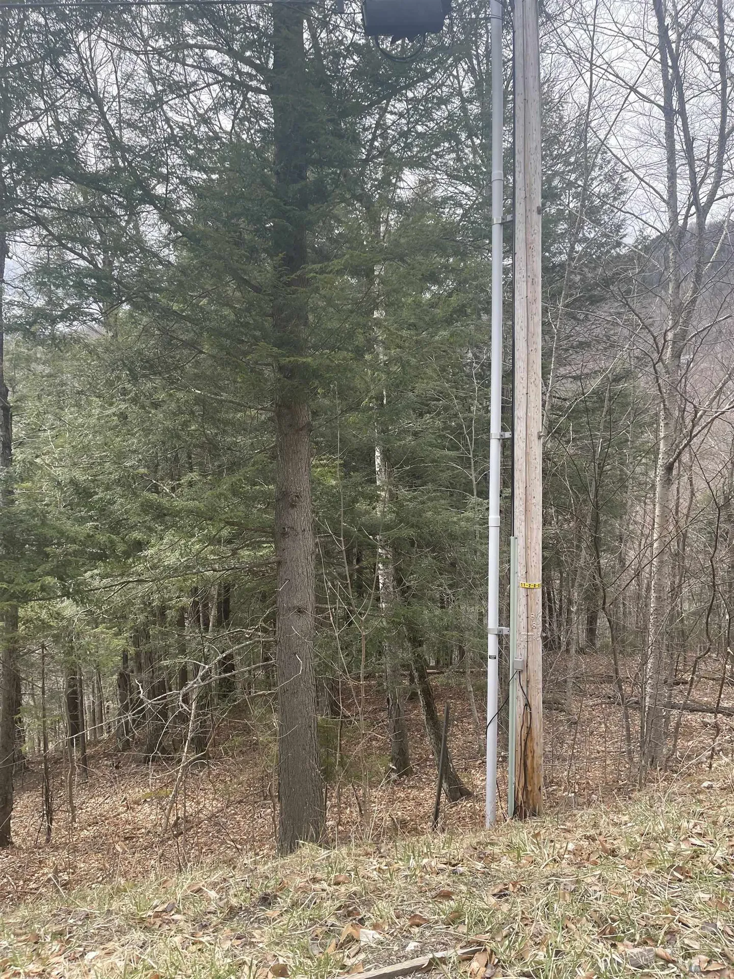 2-49 East Ash Road Plymouth VT 05056