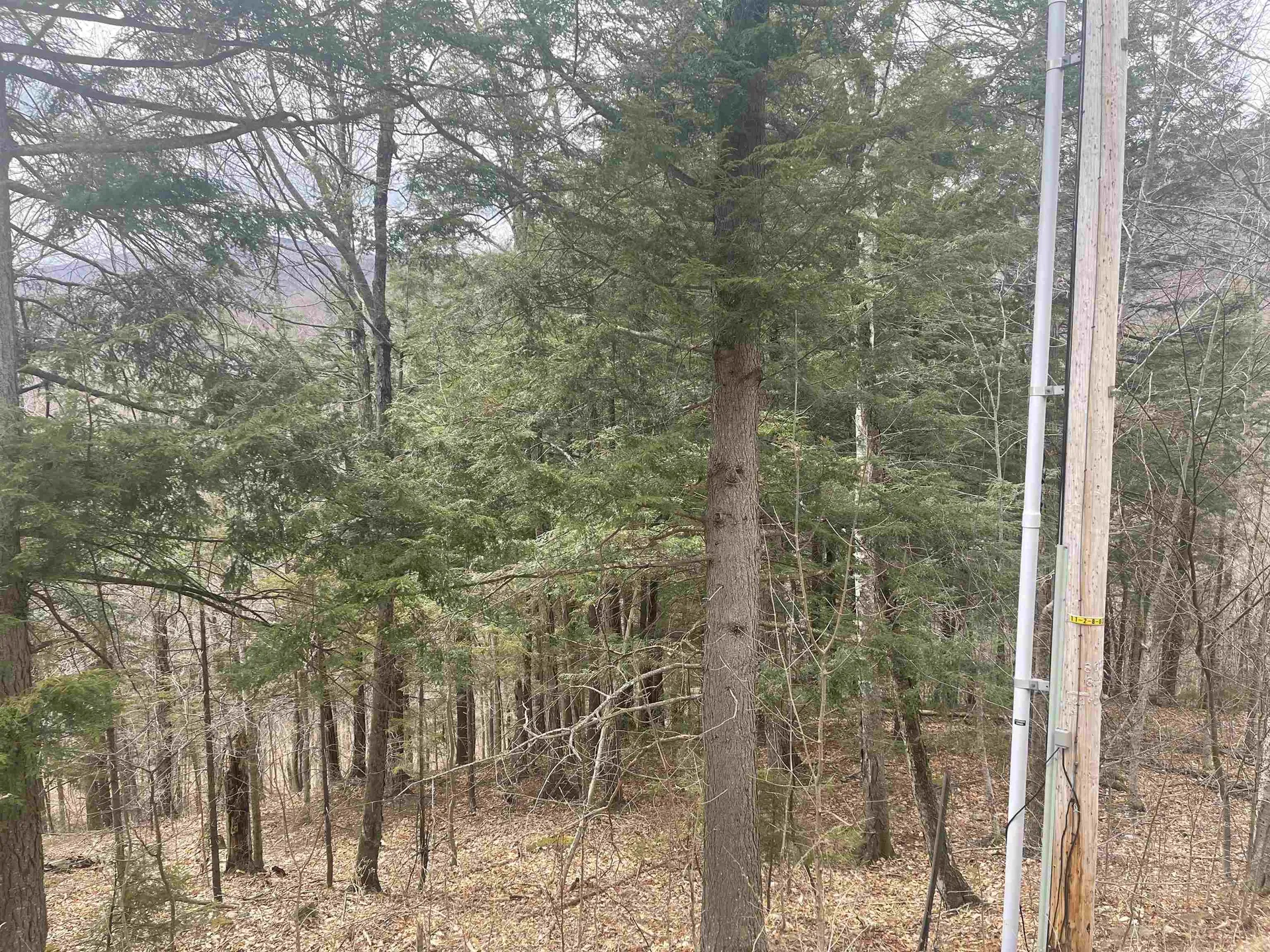 2-49 East Ash Road Plymouth VT 05056