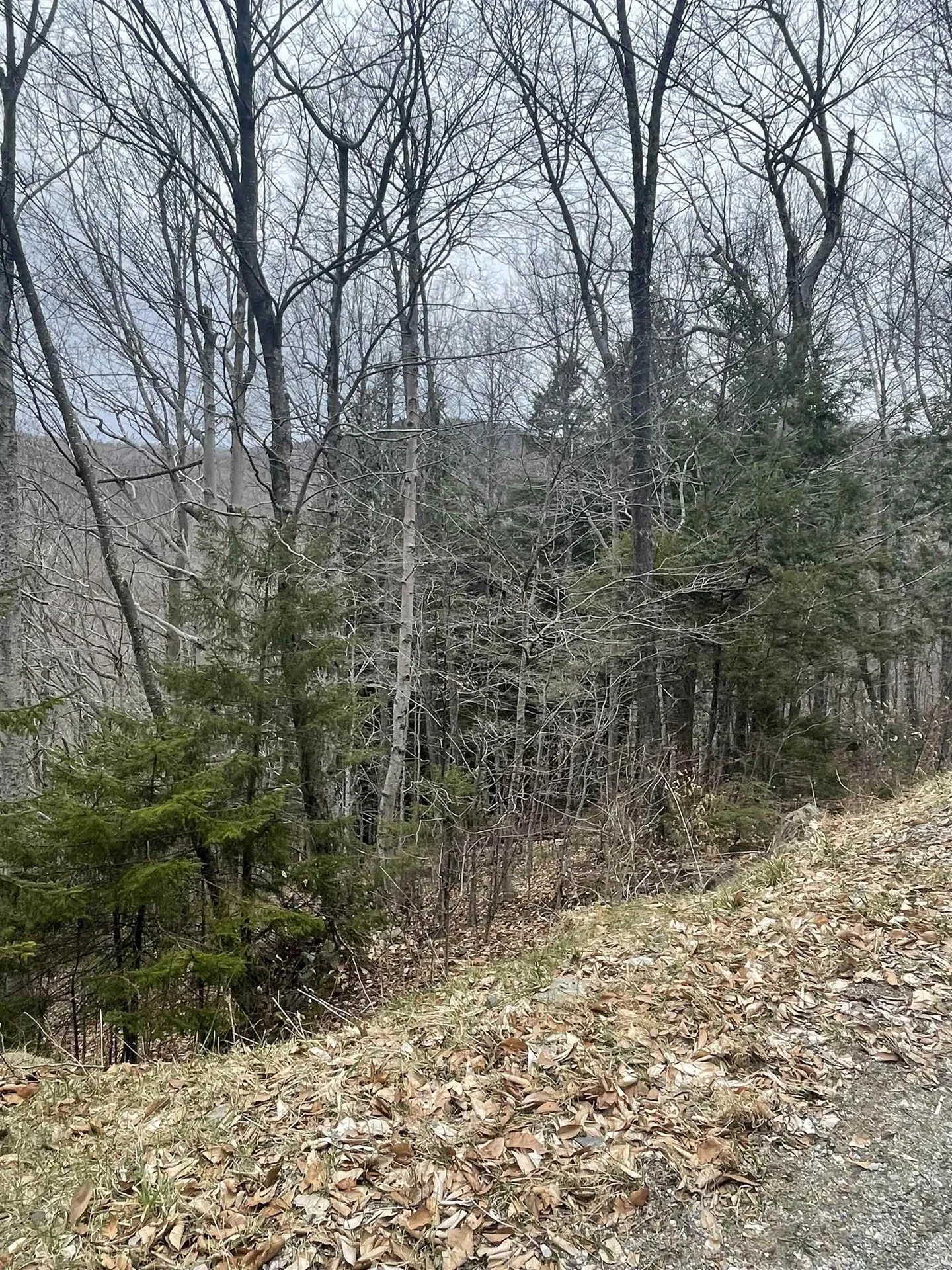 2-49 East Ash Road Plymouth VT 05056