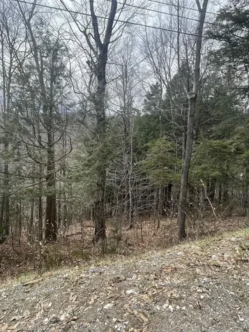 2-49 East Ash Road Plymouth VT 05056