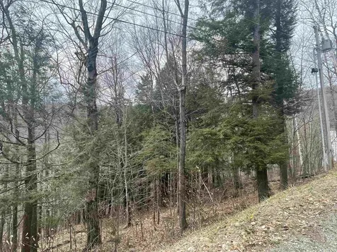 2-49 East Ash Road Plymouth VT 05056