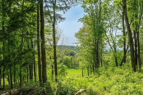 62 Cobb Hill Road Alstead NH 03602