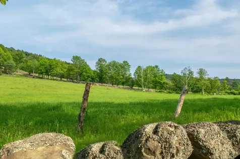 62 Cobb Hill Road Alstead NH 03602