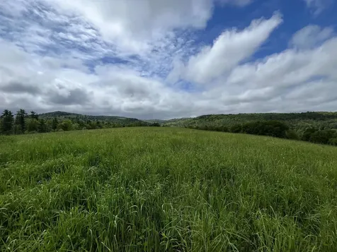 62 Cobb Hill Road Alstead NH 03602