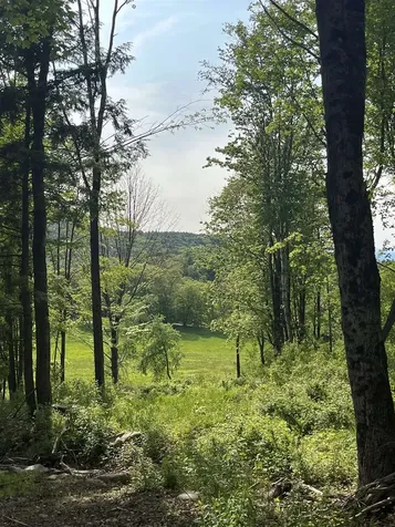 62 Cobb Hill Road Alstead NH 03602