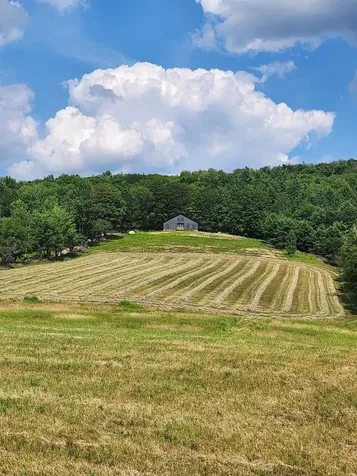 62 Cobb Hill Road Alstead NH 03602