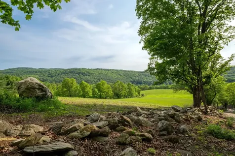 62 Cobb Hill Road Alstead NH 03602