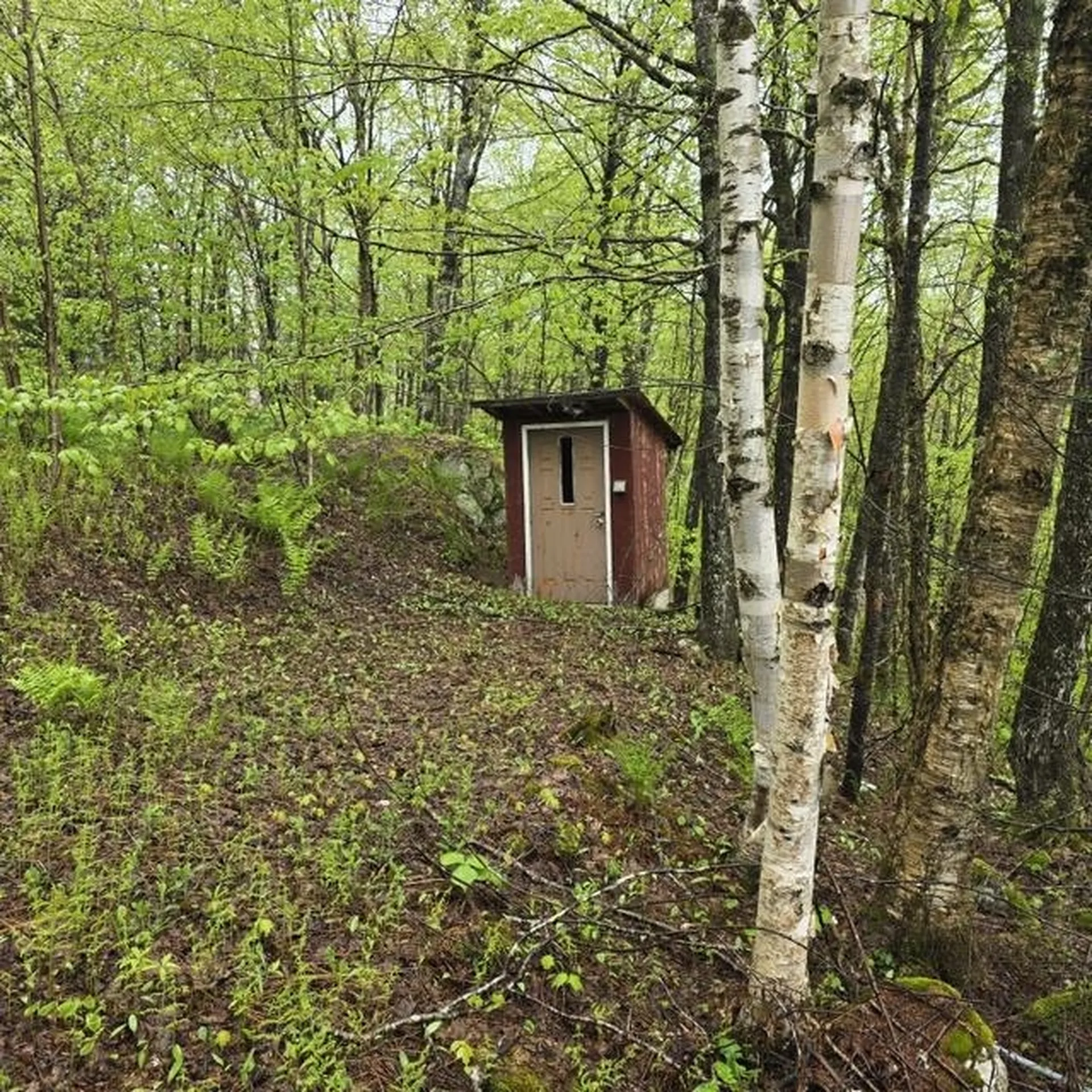 250 Kinney Hill Road Newark VT 05871