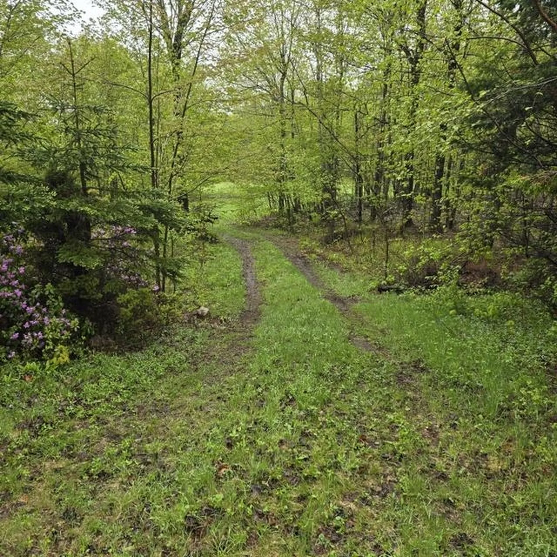 250 Kinney Hill Road Newark VT 05871