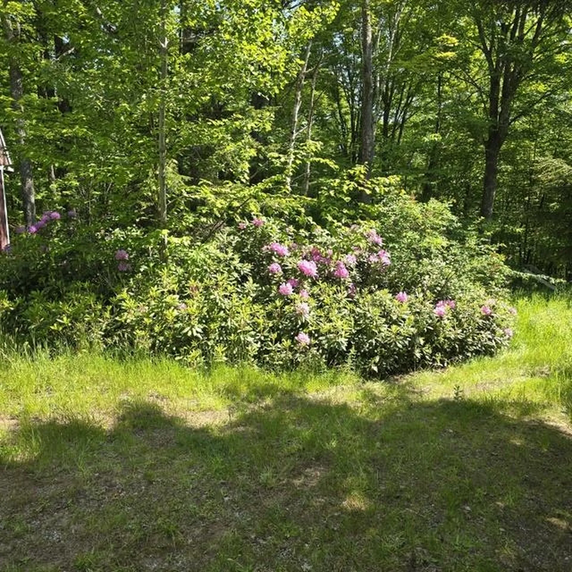 250 Kinney Hill Road Newark VT 05871