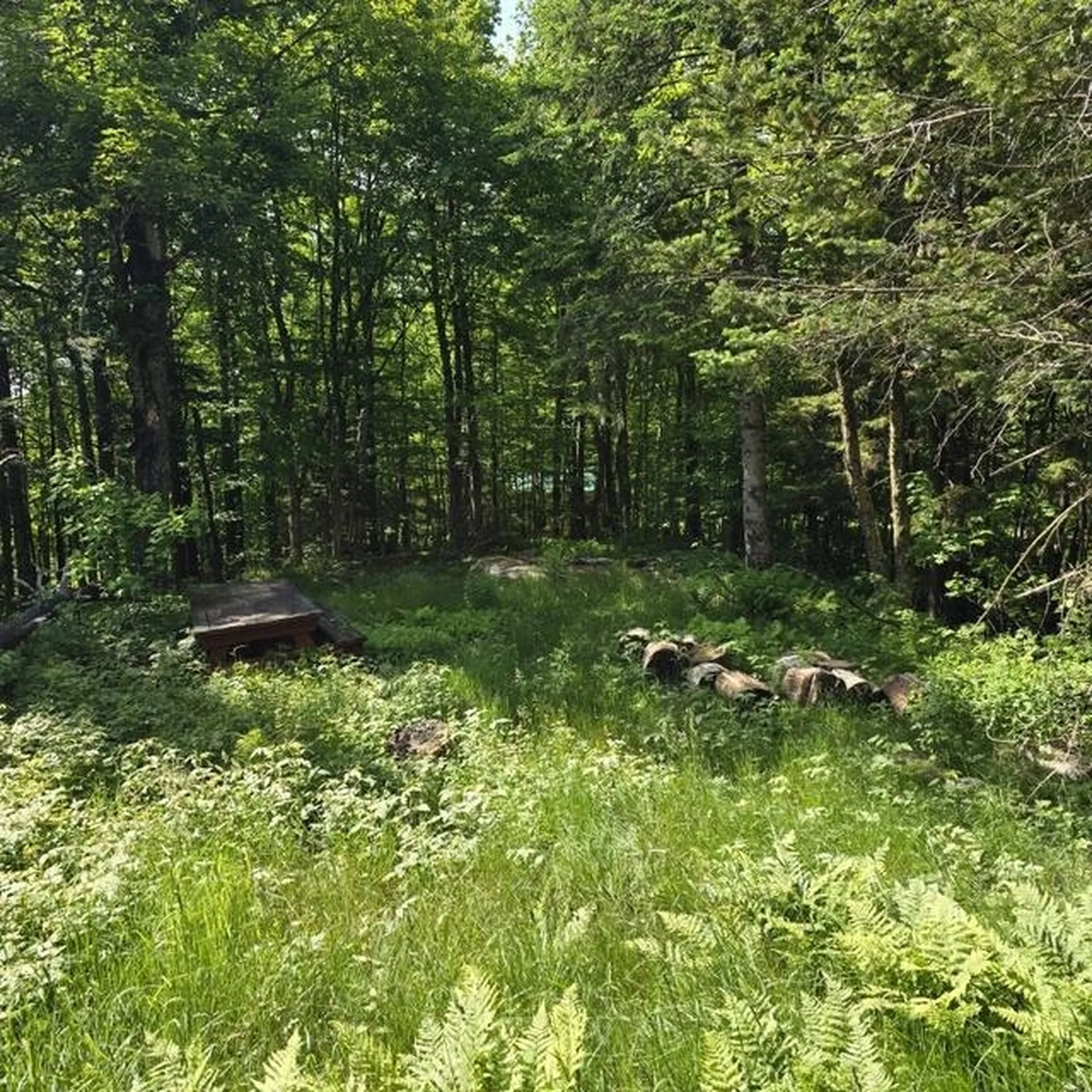 250 Kinney Hill Road Newark VT 05871