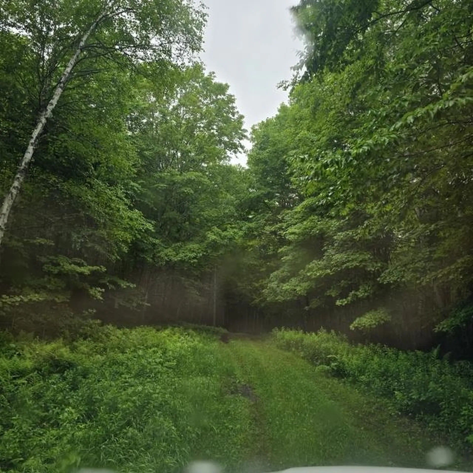 250 Kinney Hill Road Newark VT 05871