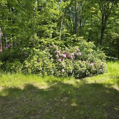 250 Kinney Hill Road Newark VT 05871