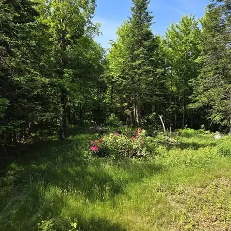 250 Kinney Hill Road Newark VT 05871