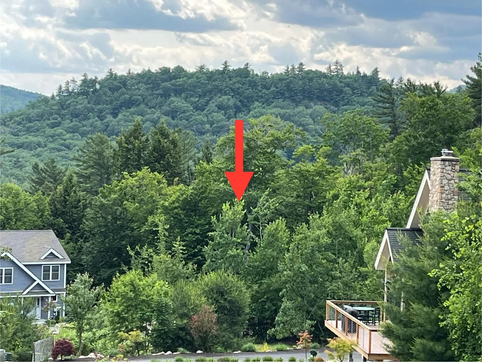 7 Beechwoods At Intervale Drive Bartlett NH 03812