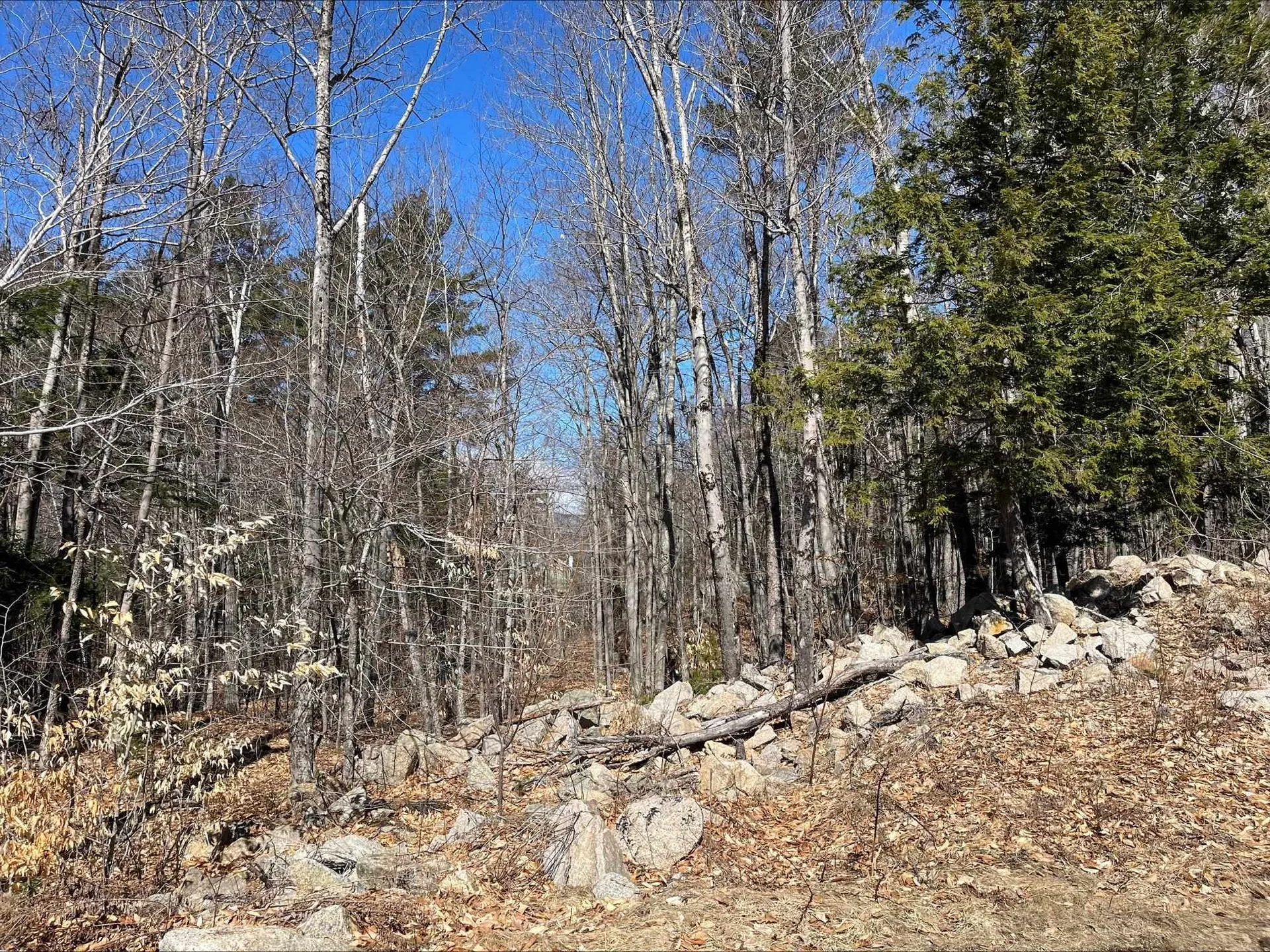 7 Beechwoods At Intervale Drive Bartlett NH 03812