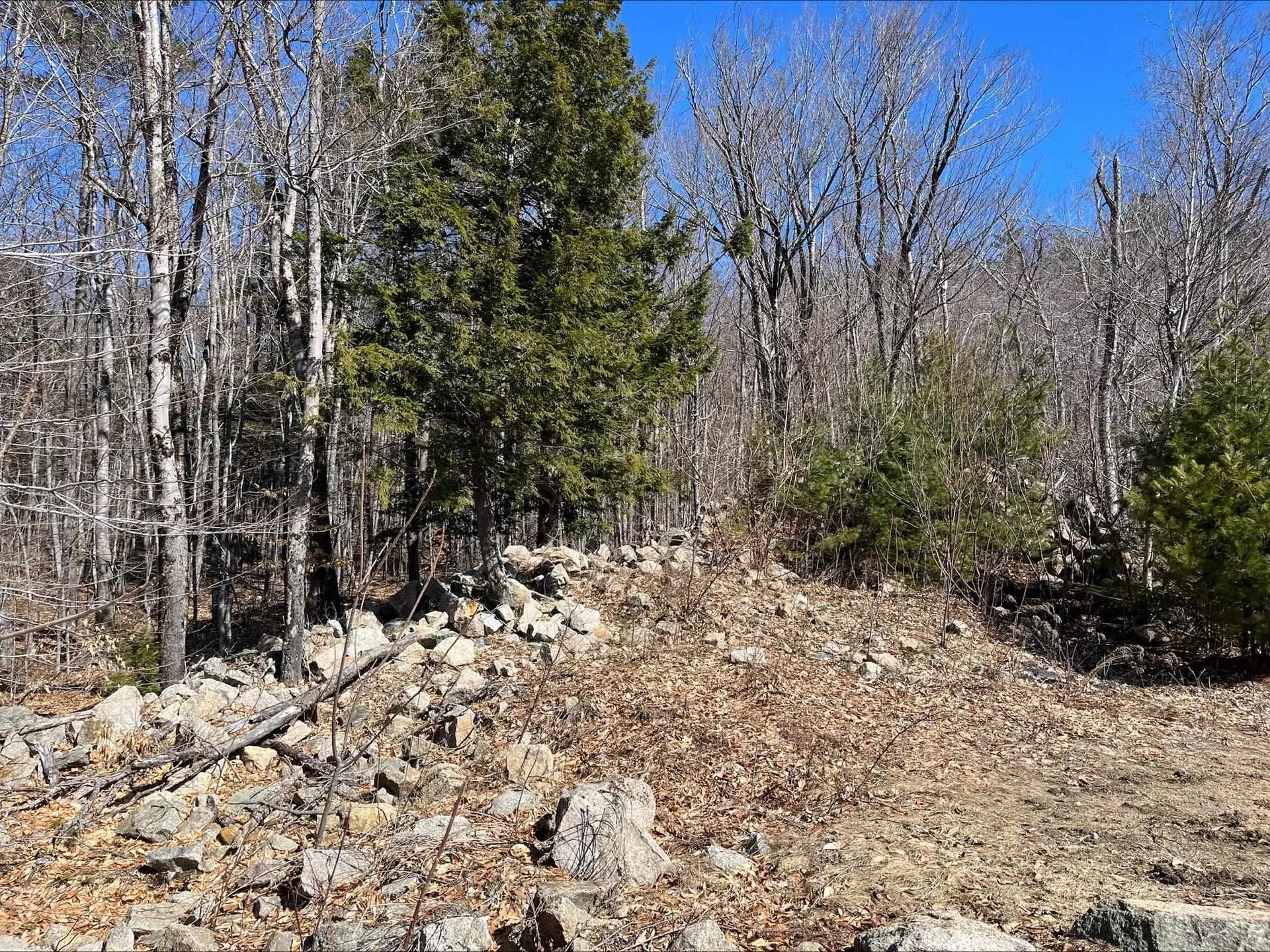 7 Beechwoods At Intervale Drive Bartlett NH 03812