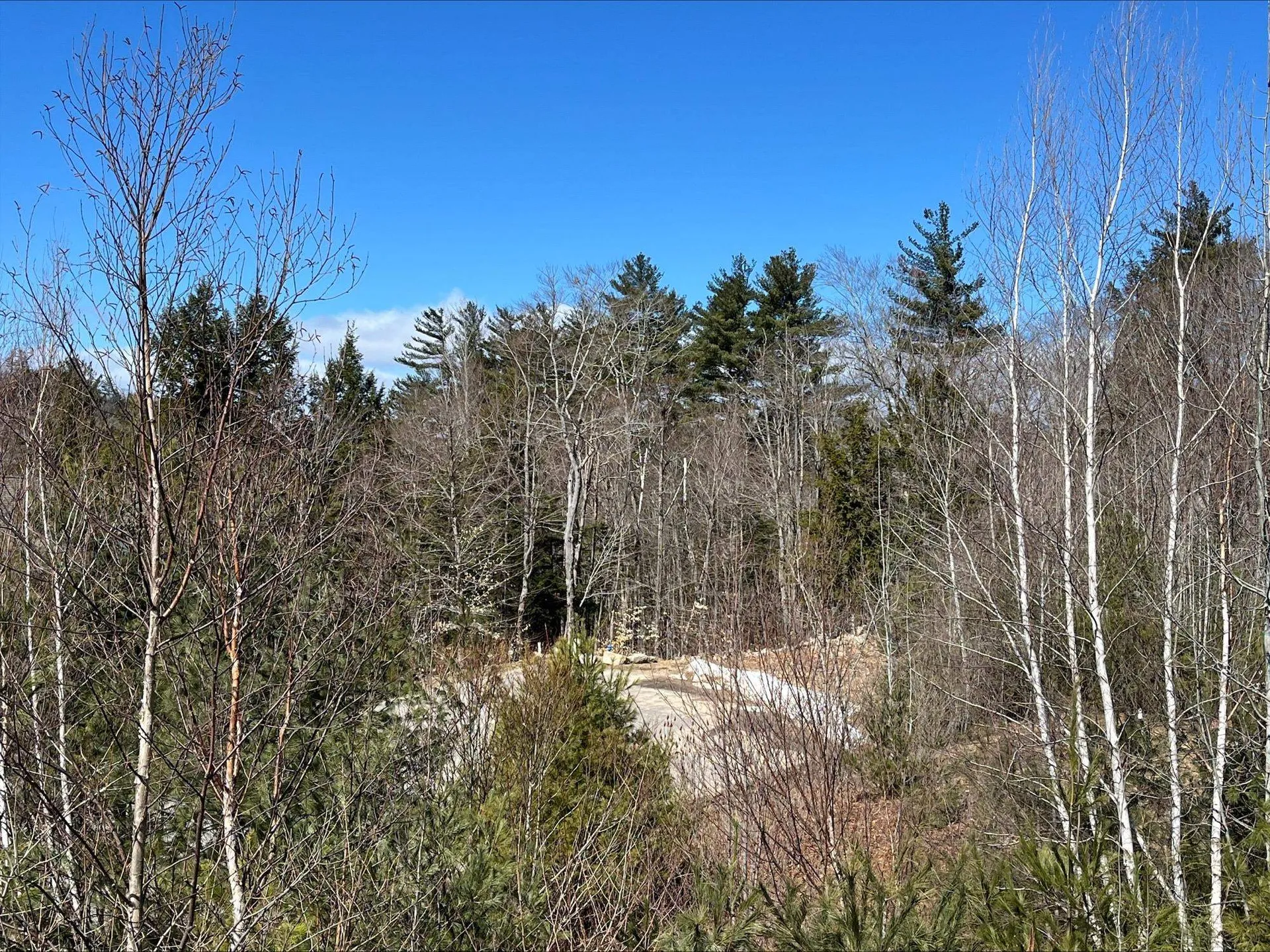 7 Beechwoods At Intervale Drive Bartlett NH 03812