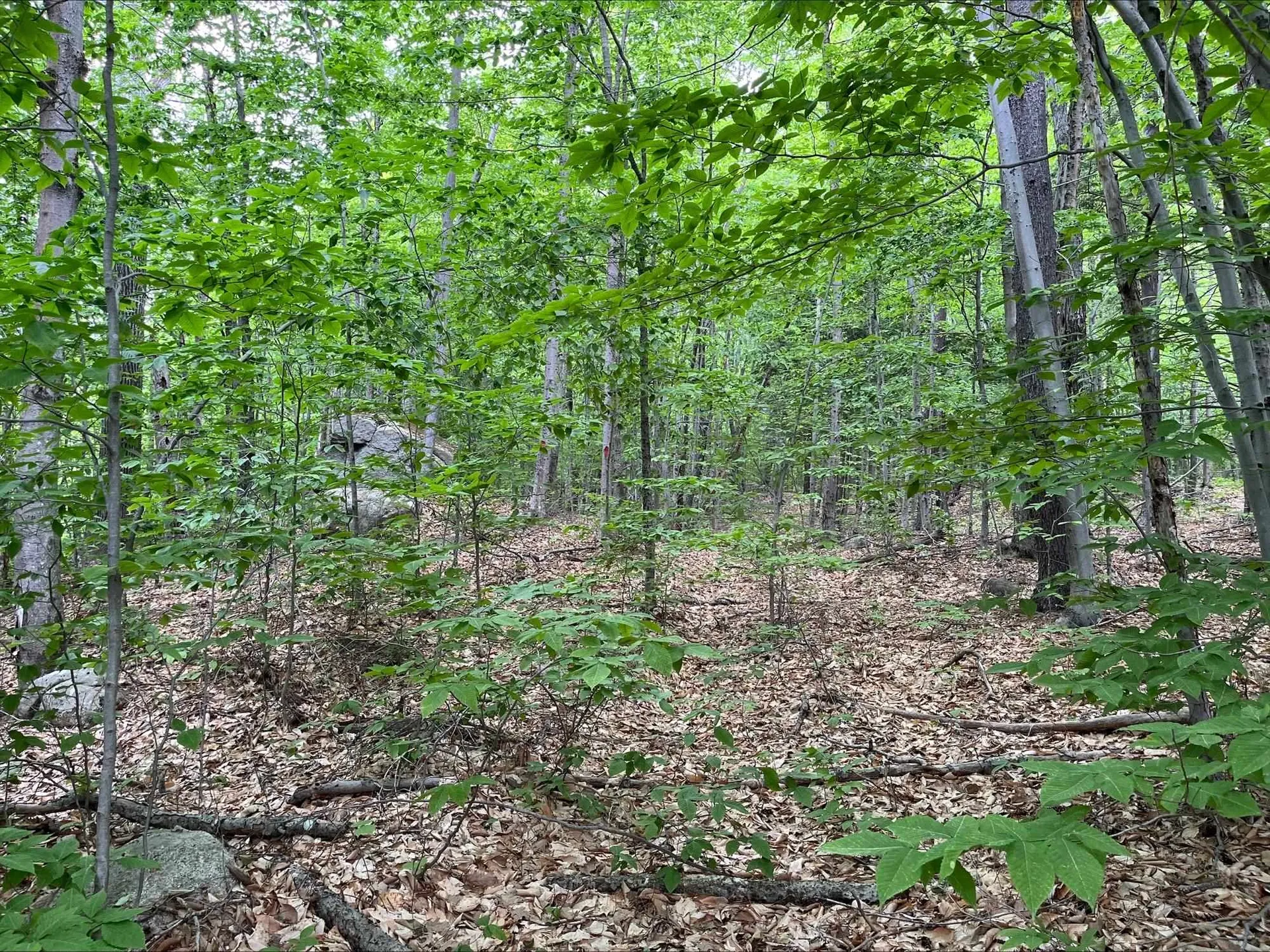 7 Beechwoods At Intervale Drive Bartlett NH 03812