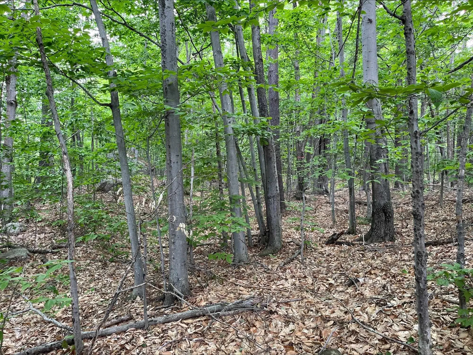 7 Beechwoods At Intervale Drive Bartlett NH 03812