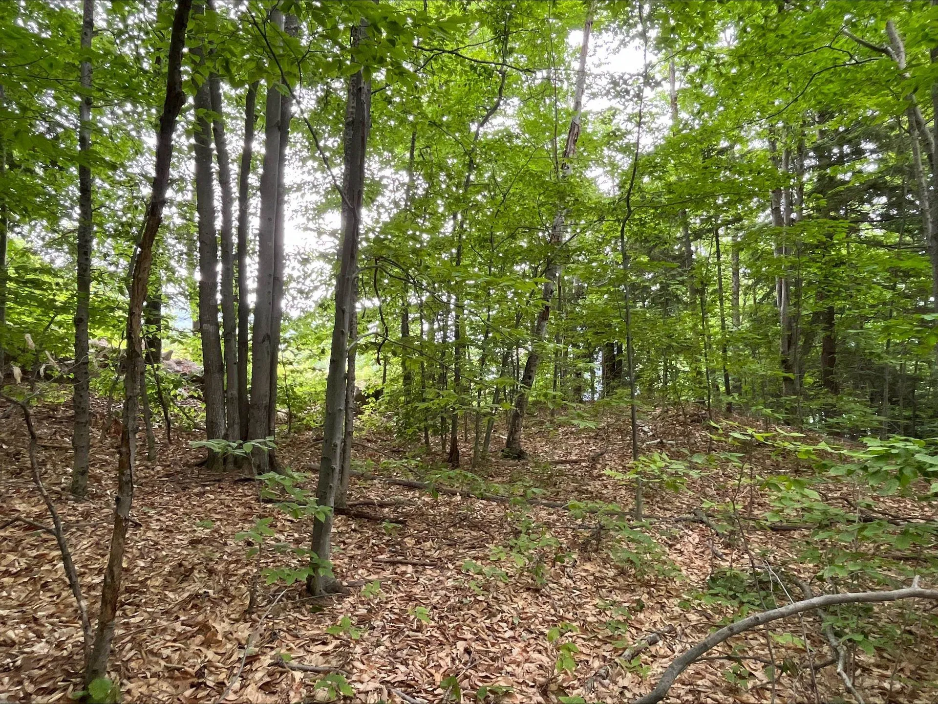 7 Beechwoods At Intervale Drive Bartlett NH 03812