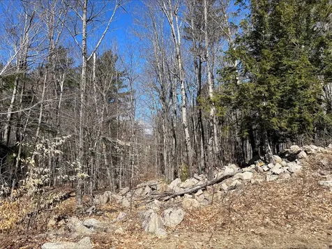 7 Beechwoods At Intervale Drive Bartlett NH 03812