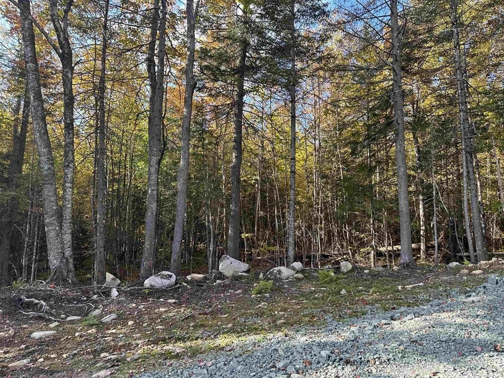 00 Us Route 2 Randolph NH 03593