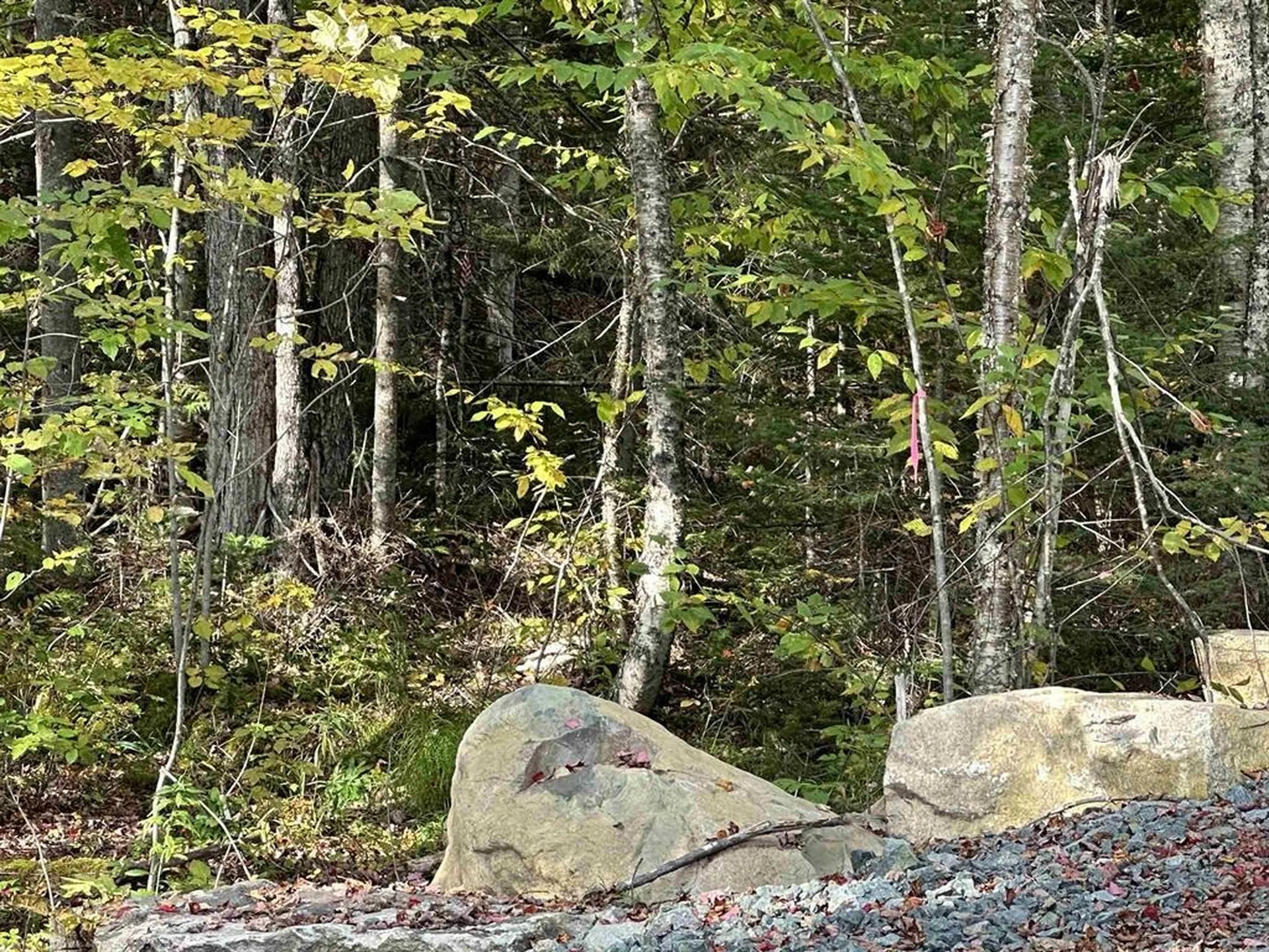 00 Us Route 2 Randolph NH 03593