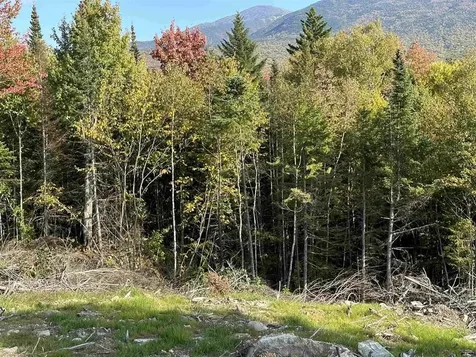 00 Us Route 2 Randolph NH 03593