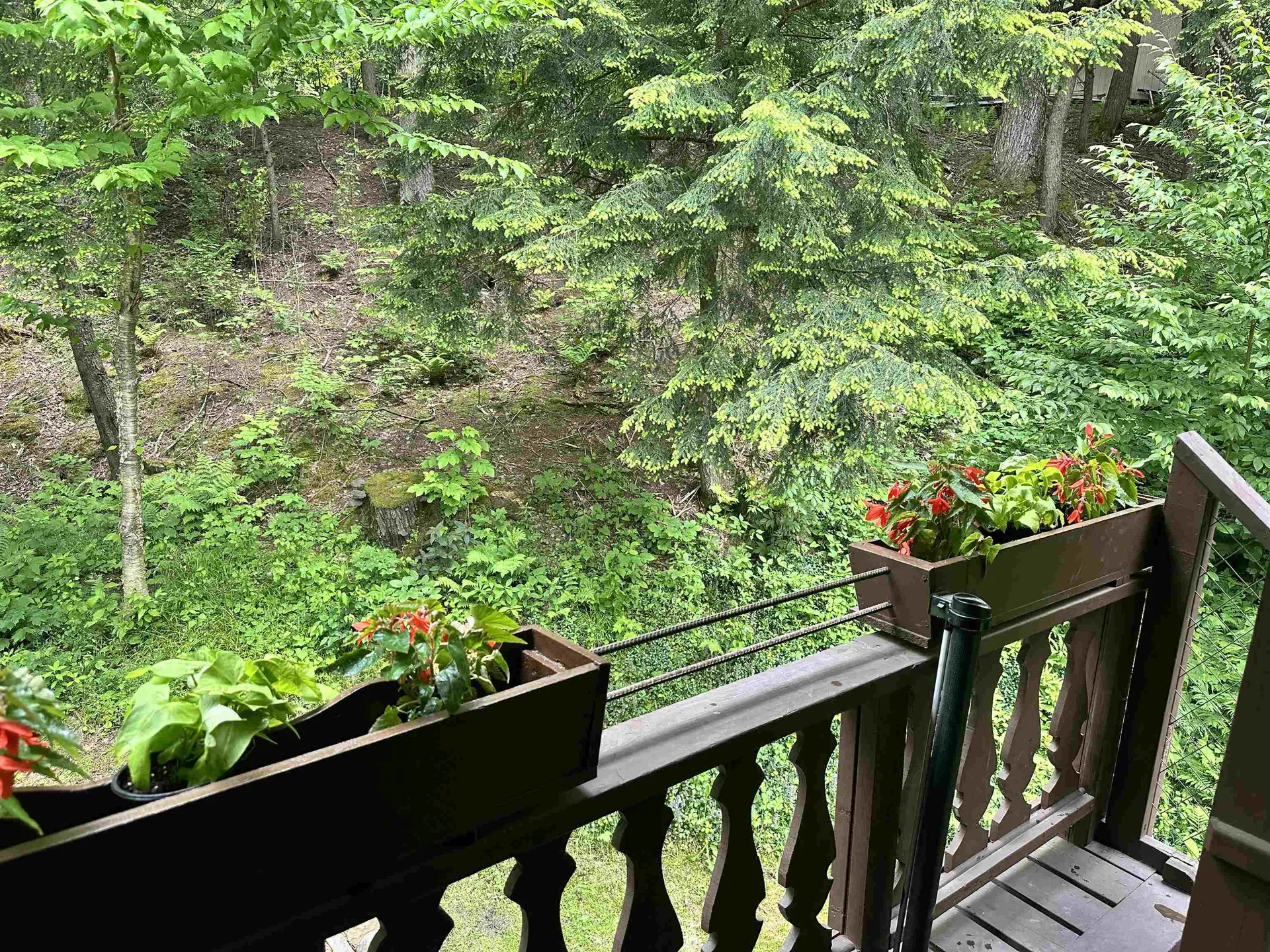 150 Rolston Road Waitsfield VT 05673