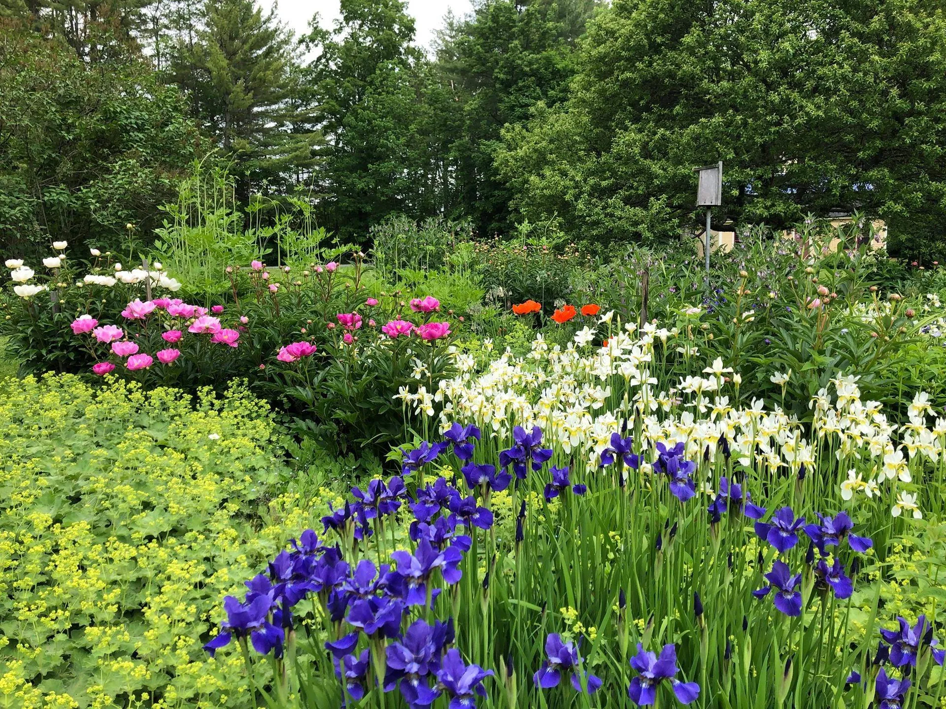 719 Walker Hill Road Barnard VT 05031