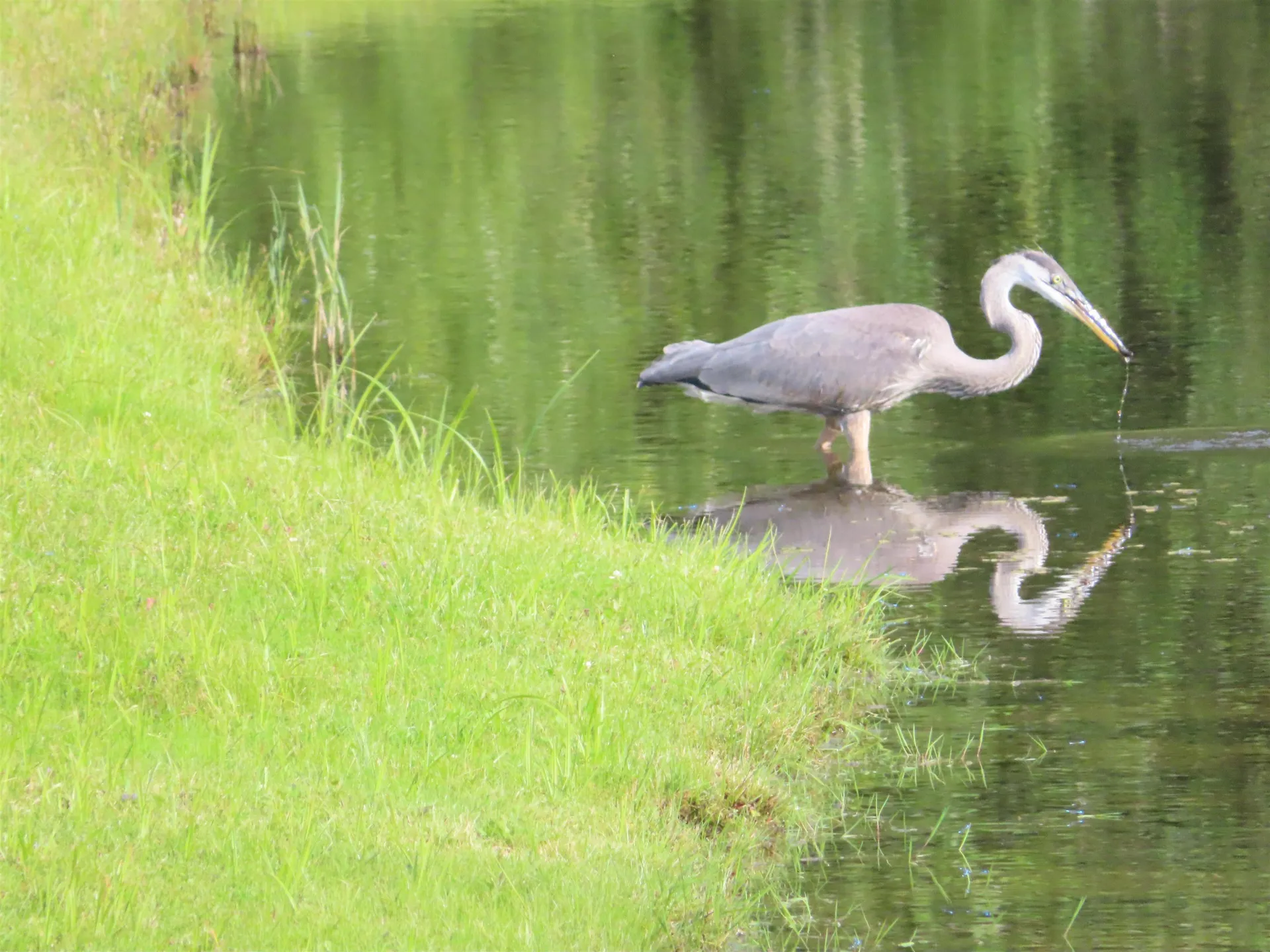 719 Walker Hill Road Barnard VT 05031