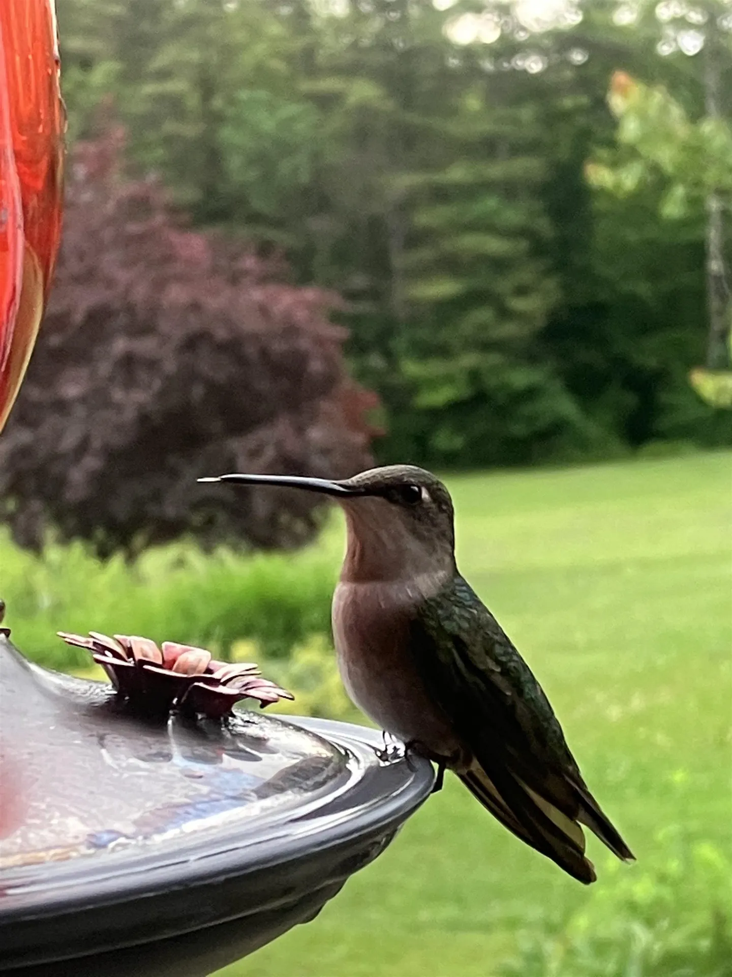 719 Walker Hill Road Barnard VT 05031