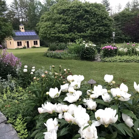 719 Walker Hill Road Barnard VT 05031