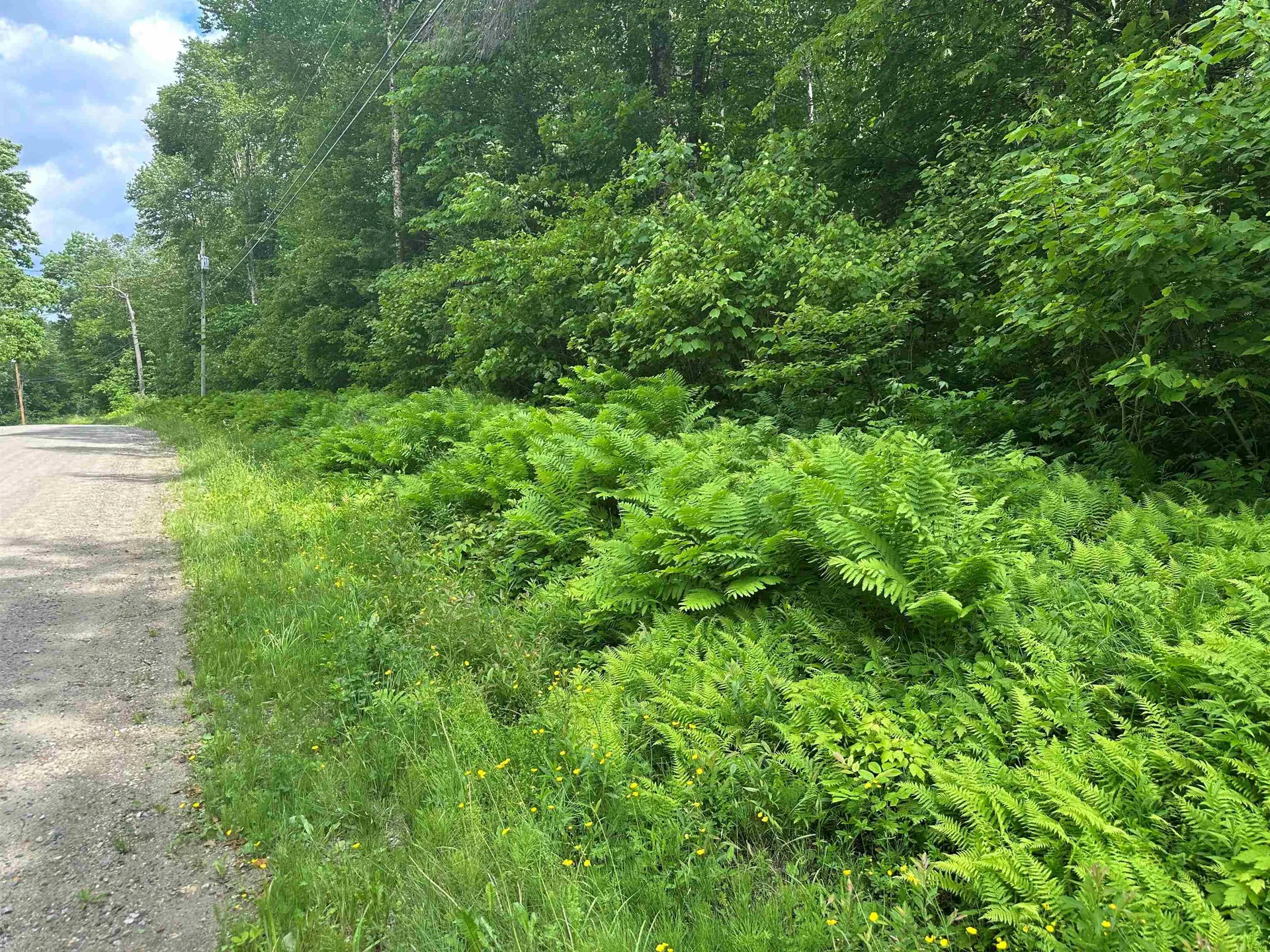 88a Sylvan Ridge Road Winhall VT 05340