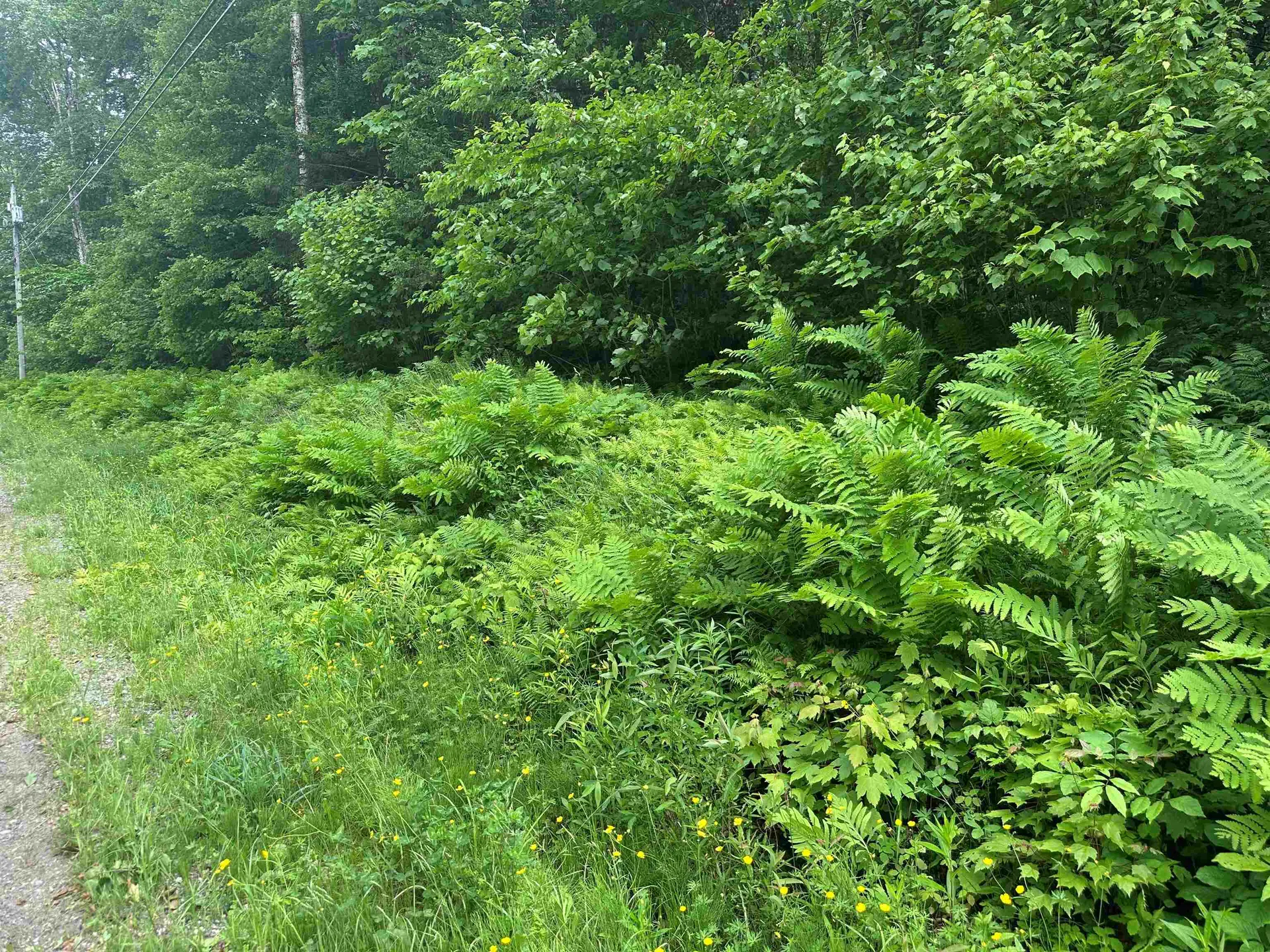 88a Sylvan Ridge Road Winhall VT 05340