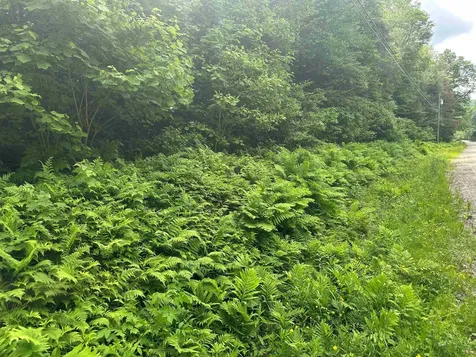 88a Sylvan Ridge Road Winhall VT 05340