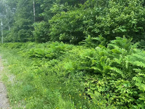 88a Sylvan Ridge Road Winhall VT 05340